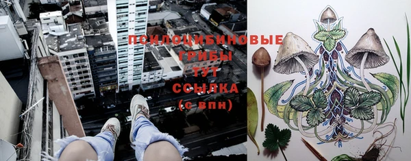 COCAINE Краснослободск
