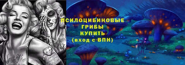COCAINE Краснослободск