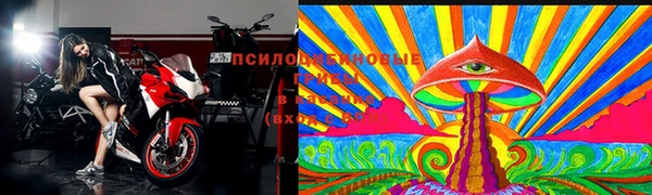 PSILOCYBIN Красноперекопск