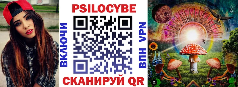 Купить где  Армянск  Псилоцибиновые грибы мицелий 