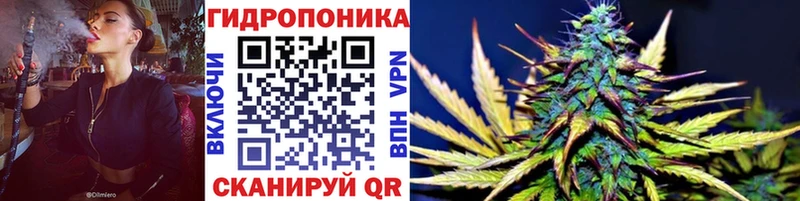 Конопля гибрид  Купить где  Армянск 